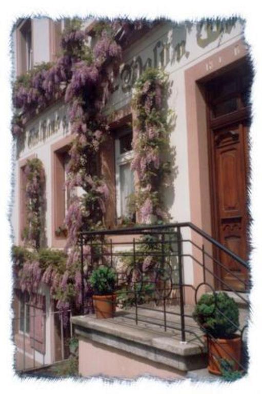 Gasthaus Neupert Lemberg Exterior photo